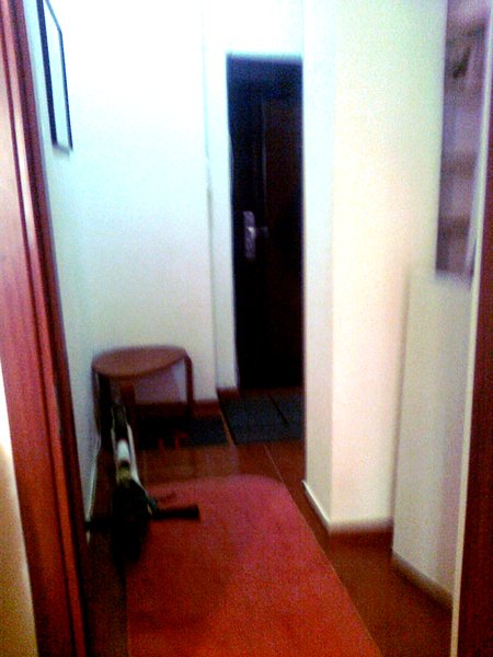 Piata Romana, metrou, ASE,